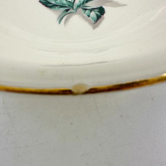 Homer Laughlin Eggshell Nautilus Rhythm Rose China Cereal Bowls Set of 8 5.5 in - Picture 7 of 8